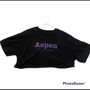 Brandy melville Cropped aspen T shirt